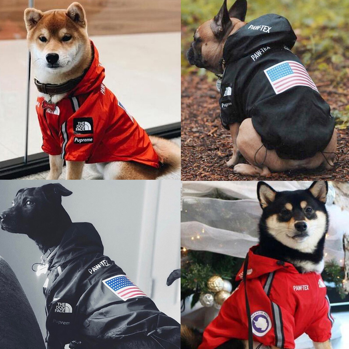 adidog pupreme THEDOGFACEU.S.A犬服レインコートパーカー