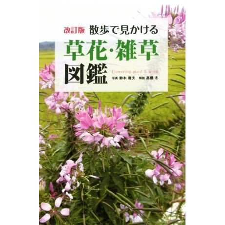 創英社/三省堂書店 改訂版 散歩で見かける草花・雑草図鑑