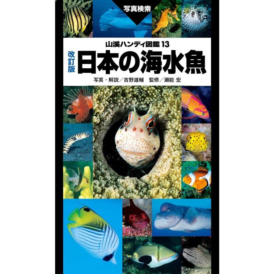 山と溪谷社 日本の海水魚 山溪ハンディ図鑑