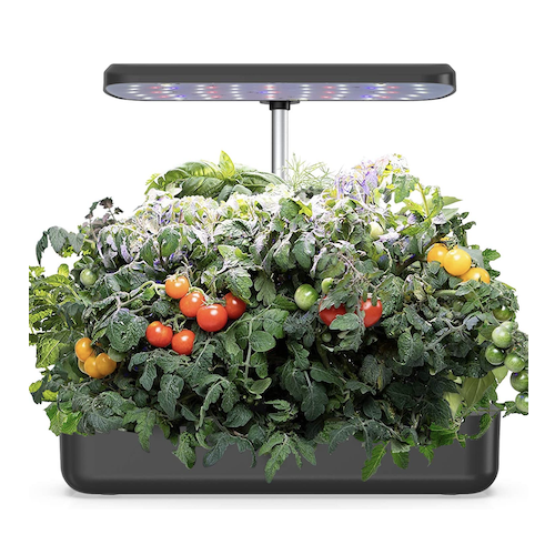 22年 水耕栽培キットの選び方とおすすめ人気ランキング10選 トマトやいちごも家で作れる Eny