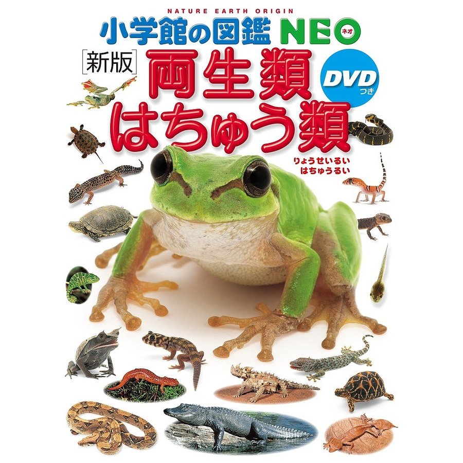 小学館 小学館の図鑑 NEO 新版 両生類・はちゅう類 DVD付