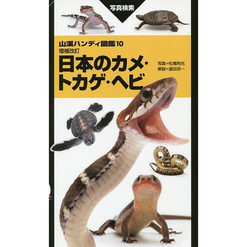 山と渓谷社 山溪ハンディ図鑑 増補改訂 日本のカメ・トカゲ・ヘビ
