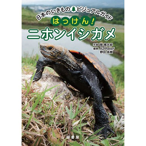 緑書房 日本のいきものビジュアルガイド はっけん！ニホンイシガメ