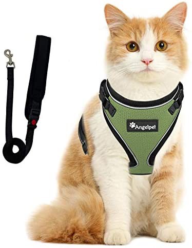 Angelpet 猫用ハーネス 570630860