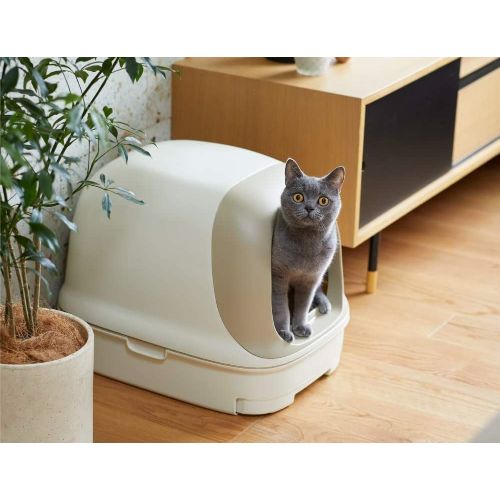 猫砂の選び方とおすすめ人気ランキング10選 安心安全なおからから吸水性抜群なシリカゲルまで Eny 猫砂の選び方とおすすめ人気ランキング10選 安心安全なおからから吸水性抜群なシリカゲルまで Eny