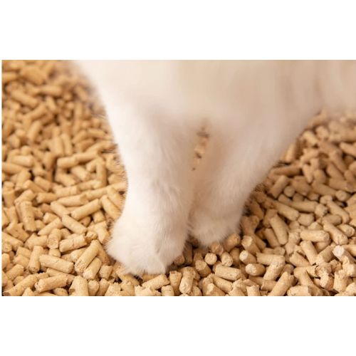 猫砂の選び方とおすすめ人気ランキング10選 安心安全なおからから吸水性抜群なシリカゲルまで Eny 猫砂の選び方とおすすめ人気ランキング10選 安心安全なおからから吸水性抜群なシリカゲルまで Eny