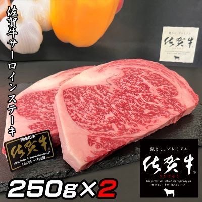 佐賀県唐津市 佐賀牛サーロインステーキ 250g×2枚 計500g