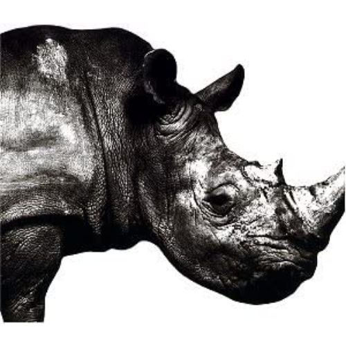 Mr.Children 「Tomorrow never knows」