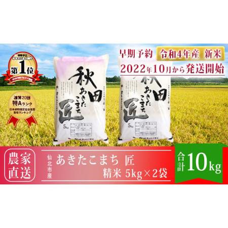 秋田県仙北市 秋田県産 一等米 あきたこまち 米 10kg（5kg×2袋）